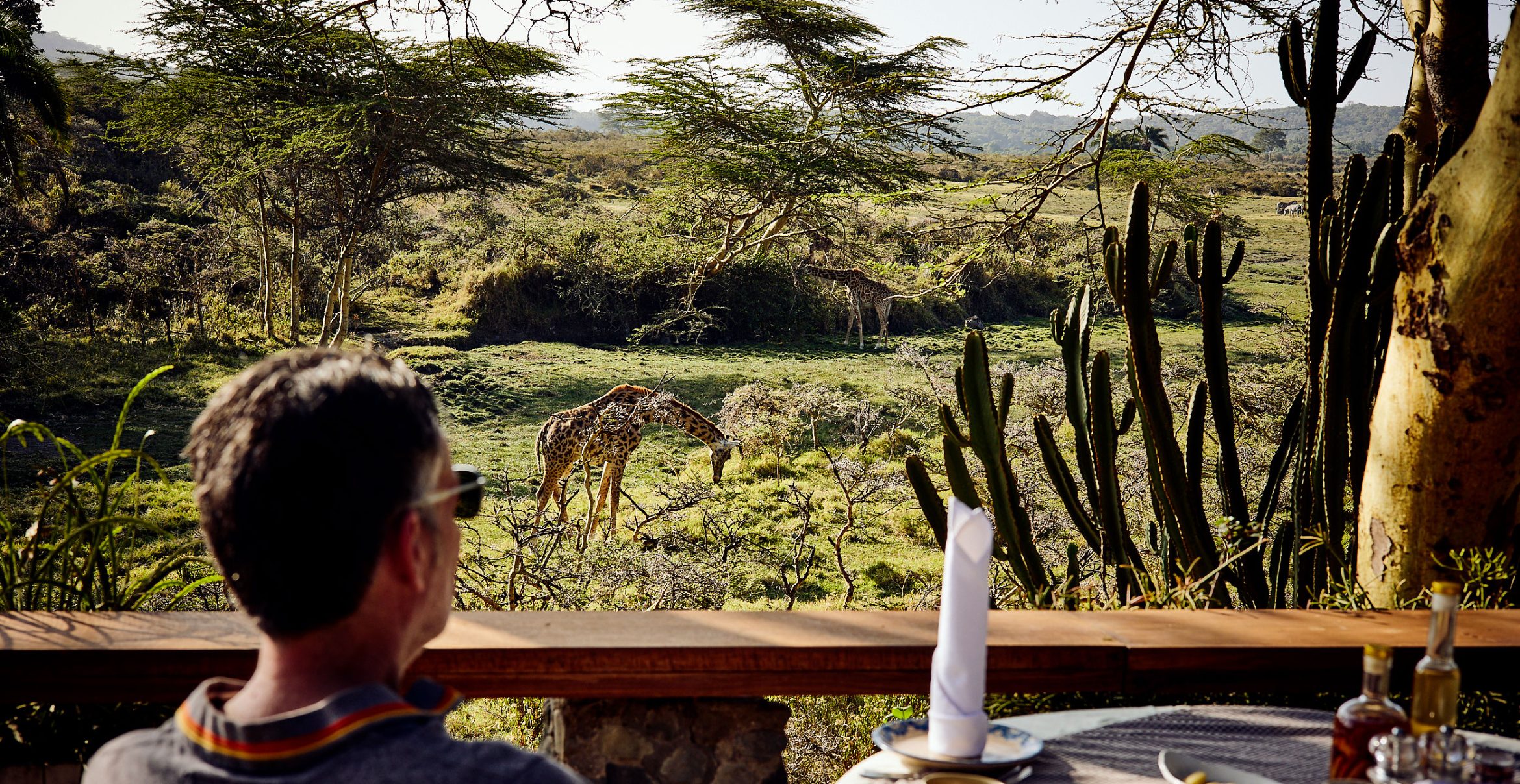 Fotos: Hardy Krügers Afrika lebt weiter – Wie ein deutsches Paar den „Hatari“-Mythos neu erfindet