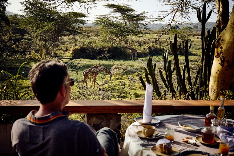 Fotos: Hardy Krügers Afrika lebt weiter – Wie ein deutsches Paar den „Hatari“-Mythos neu erfindet