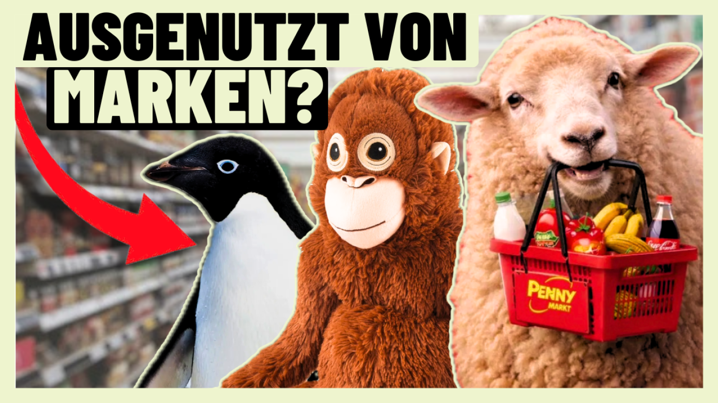 Affe, Pinguin, Schaf: Was Marken von Tier-Memes lernen können