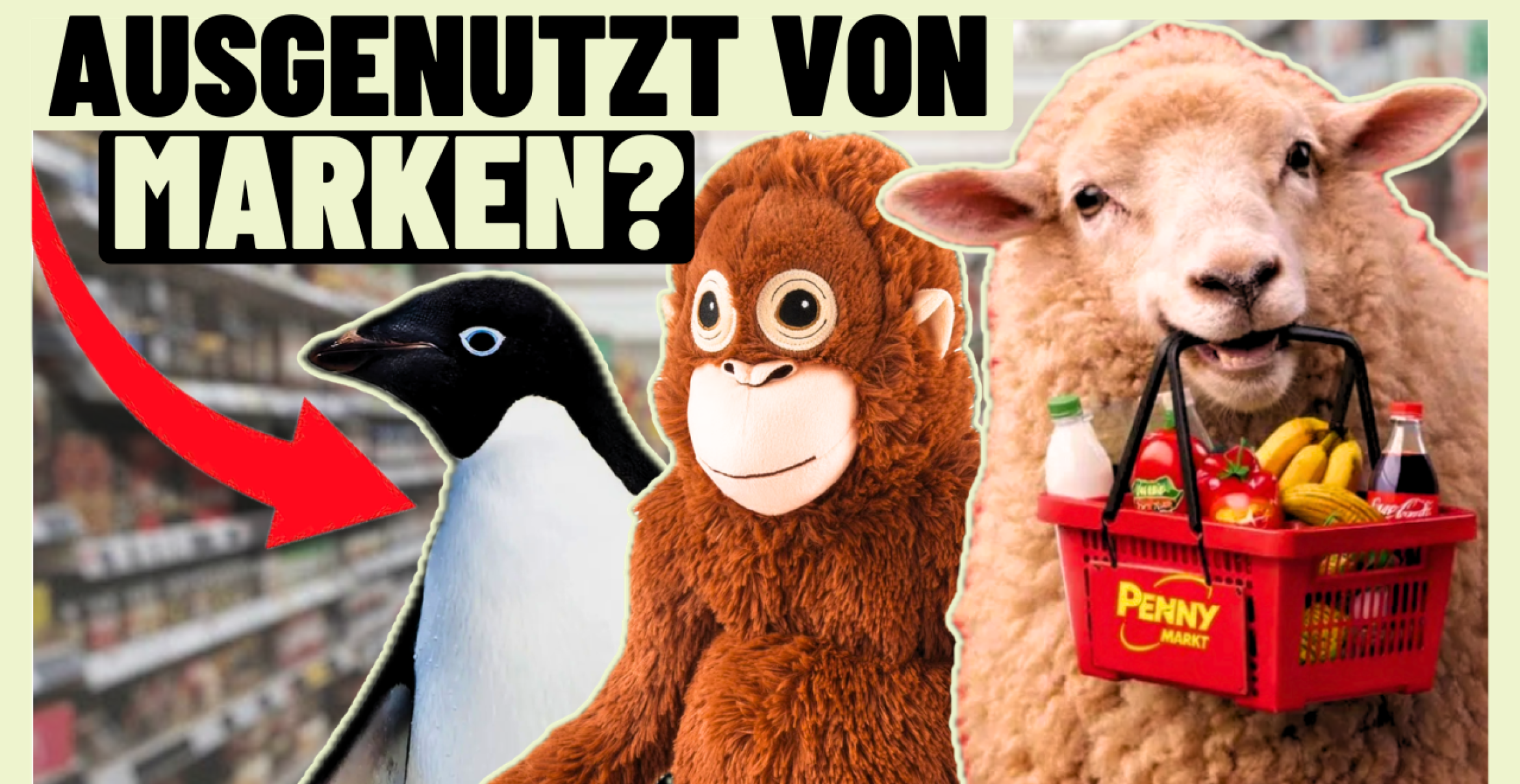 Affe, Pinguin, Schaf: Was Marken von Tier-Memes lernen können