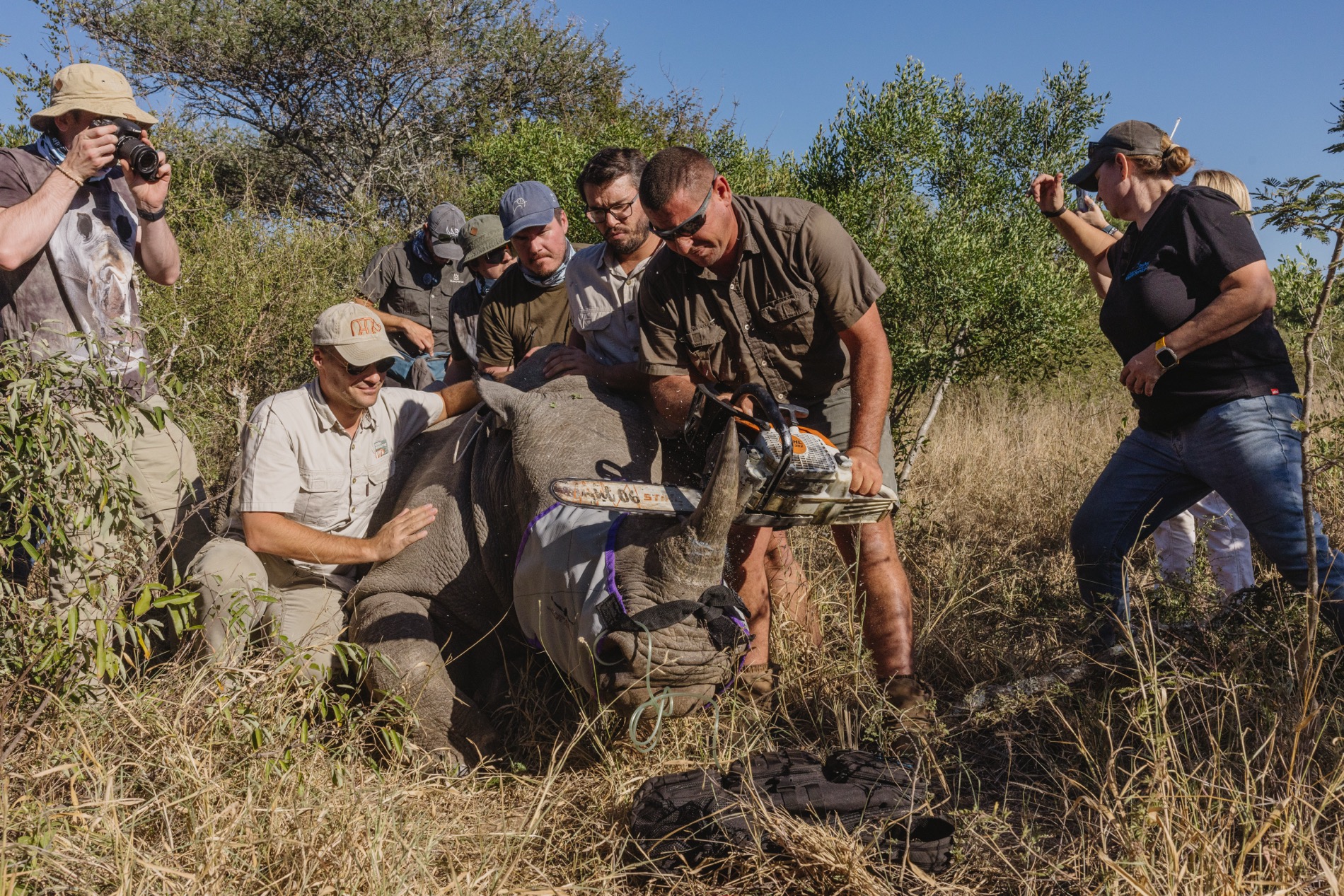 Rhino Revolution Europe kämpft um jedes einzelne Nashorn