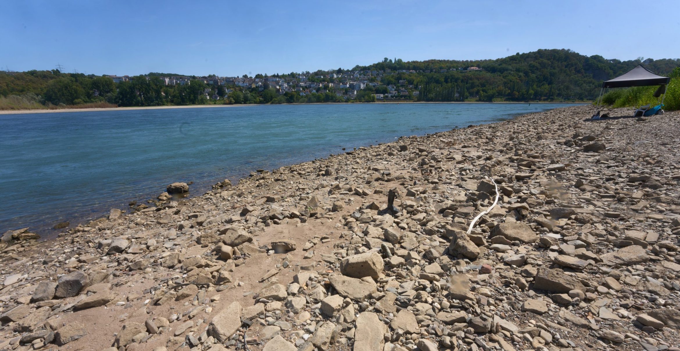 Spritpreise 2026: Der Rhein bestimmt, was gezahlt wird