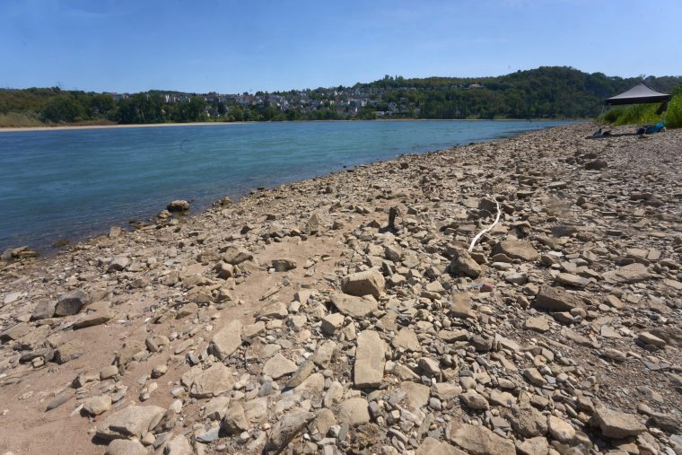 Spritpreise 2026: Der Rhein bestimmt, was gezahlt wird
