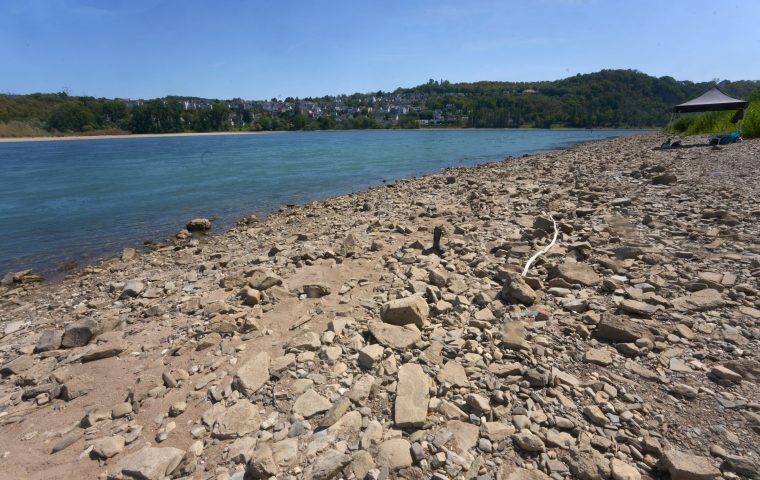 Spritpreise 2026: Der Rhein bestimmt, was gezahlt wird